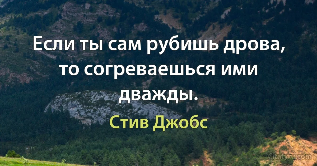 Если ты сам рубишь дрова, то согреваешься ими дважды. (Стив Джобс)