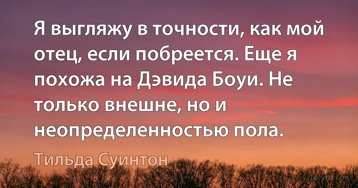 Я выгляжу в точности, как мой отец, если побреется. Еще я похожа на Дэвида Боуи. Не только внешне, но и неопределенностью пола. (Тильда Суинтон)