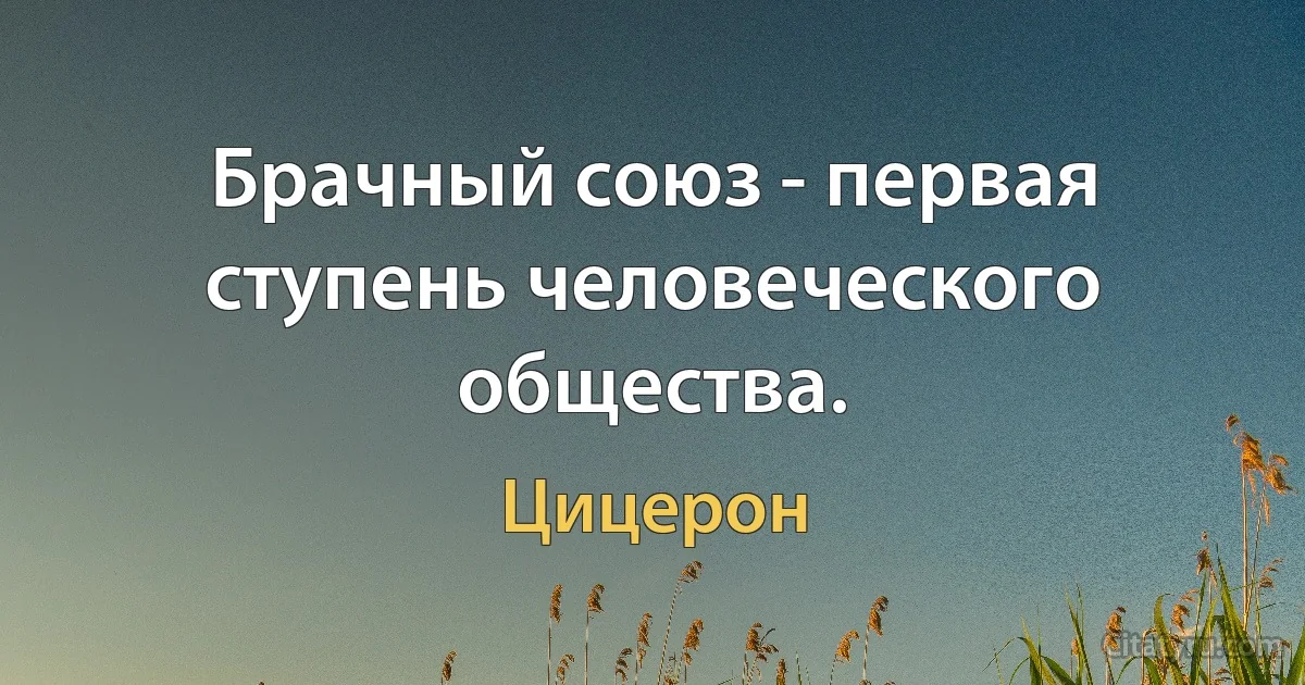 Брачный союз - первая ступень человеческого общества. (Цицерон)