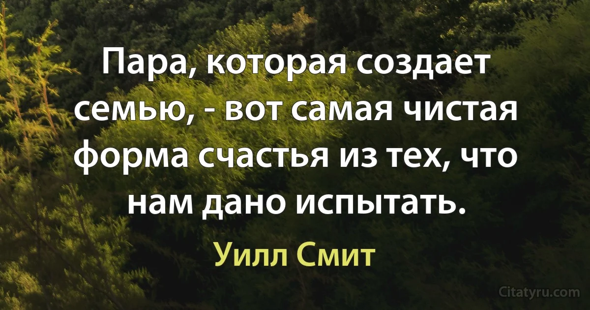 Пара, которая создает семью, - вот самая чистая форма счастья из тех, что нам дано испытать. (Уилл Смит)