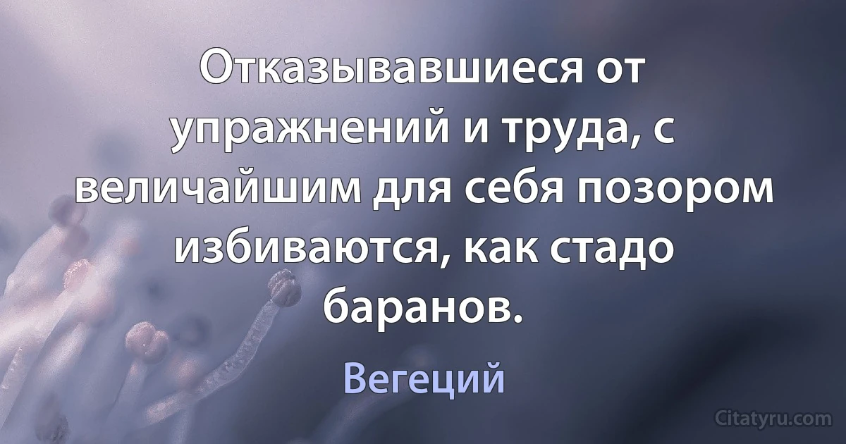 Отказывавшиеся от упражнений и труда, с величайшим для себя позором избиваются, как стадо баранов. (Вегеций)