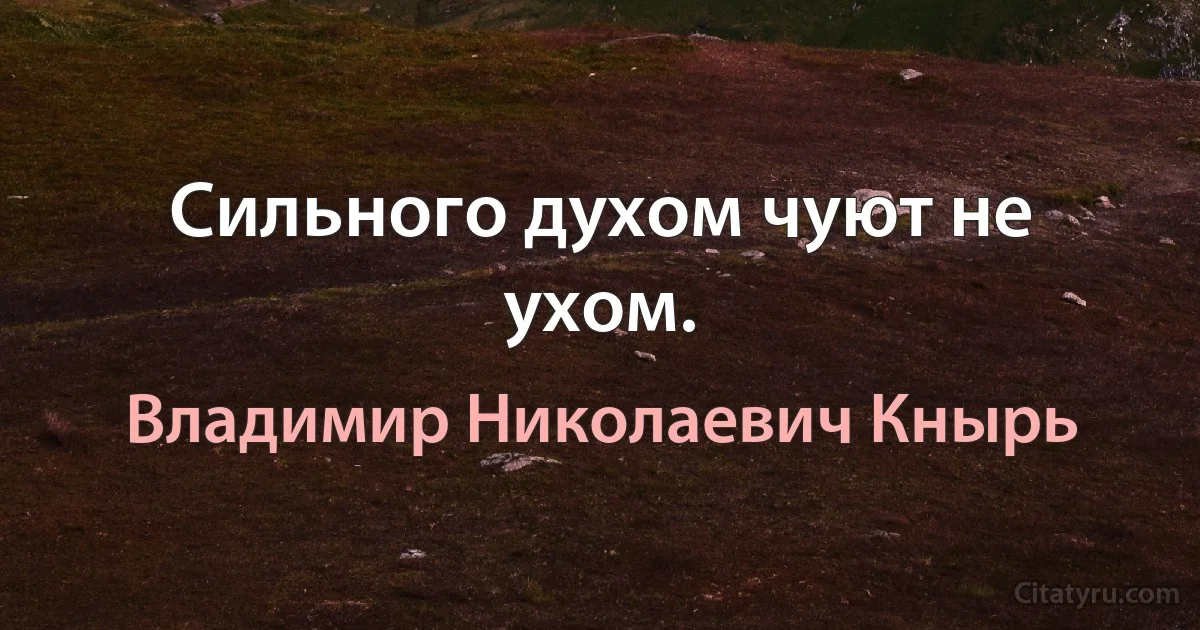 Сильного духом чуют не ухом. (Владимир Николаевич Кнырь)