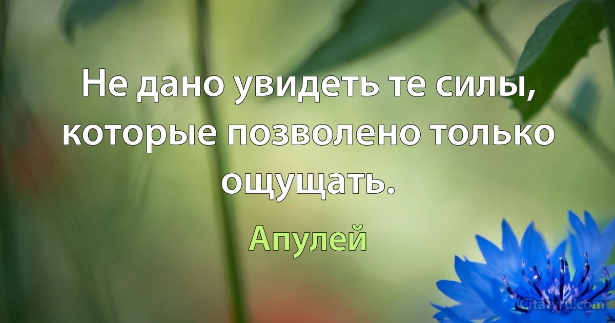 Не дано увидеть те силы, которые позволено только ощущать. (Апулей)