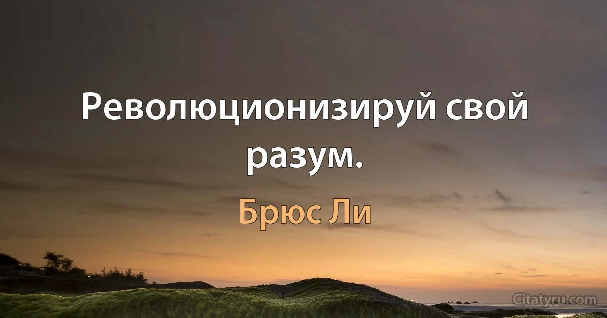 Революционизируй свой разум. (Брюс Ли)