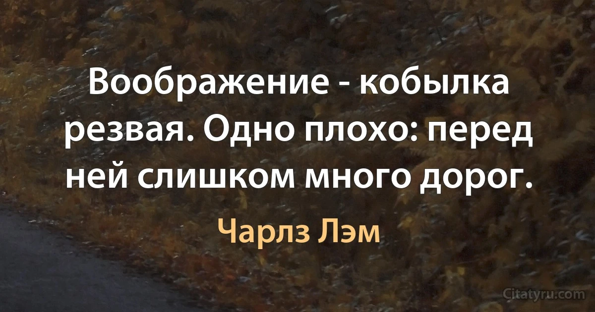 Воображение - кобылка резвая. Одно плохо: перед ней слишком много дорог. (Чарлз Лэм)