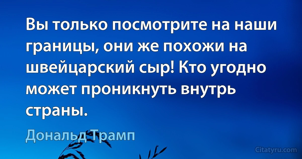 Вы только посмотрите на наши границы, они же похожи на швейцарский сыр! Кто угодно может проникнуть внутрь страны. (Дональд Трамп)