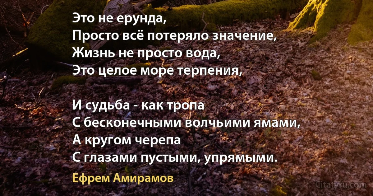 Это не ерунда,
Просто всё потеряло значение,
Жизнь не просто вода,
Это целое море терпения,

И судьба - как тропа
С бесконечными волчьими ямами,
А кругом черепа
С глазами пустыми, упрямыми. (Ефрем Амирамов)