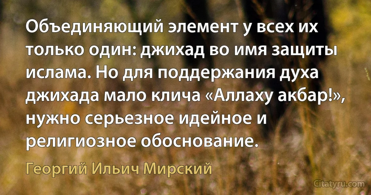 Объединяющий элемент у всех их только один: джихад во имя защиты ислама. Но для поддержания духа джихада мало клича «Аллаху акбар!», нужно серьезное идейное и религиозное обоснование. (Георгий Ильич Мирский)