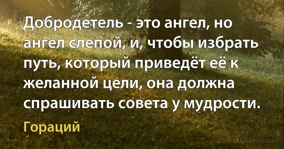 Добродетель - это ангел, но ангел слепой, и, чтобы избрать путь, который приведёт её к желанной цели, она должна спрашивать совета у мудрости. (Гораций)