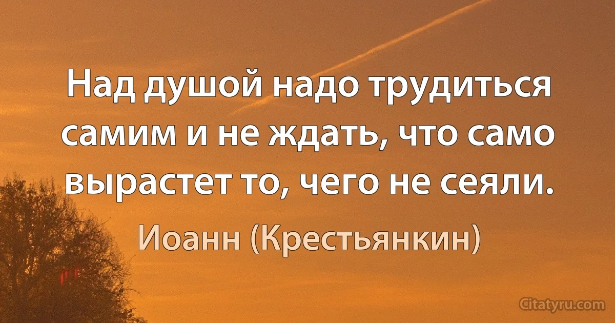 Над душой надо трудиться самим и не ждать, что само вырастет то, чего не сеяли. (Иоанн (Крестьянкин))