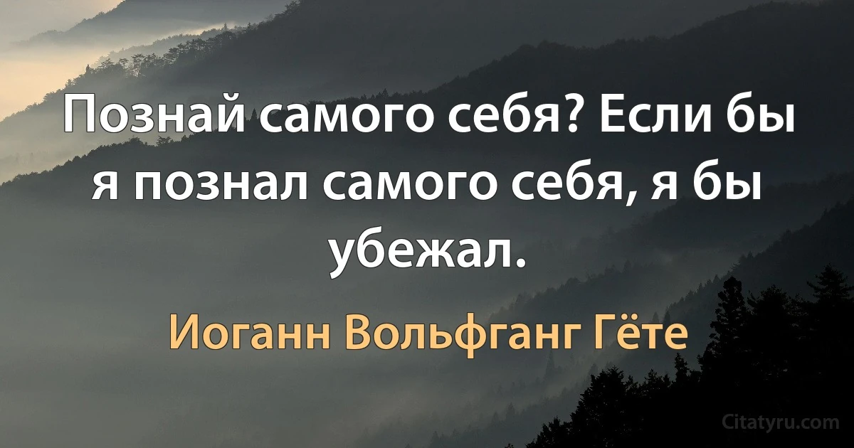 Познай самого себя? Если бы я познал самого себя, я бы убежал. (Иоганн Вольфганг Гёте)