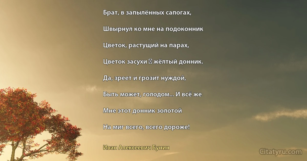 Брат, в запылённых сапогах,

Швырнул ко мне на подоконник

Цветок, растущий на парах,

Цветок засухи ― жёлтый донник.

Да, зреет и грозит нуждой,

Быть может, голодом... И всё же

Мне этот донник золотой

На миг всего, всего дороже! (Иван Алексеевич Бунин)