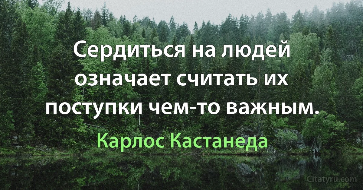 Сердиться на людей означает считать их поступки чем-то важным. (Карлос Кастанеда)