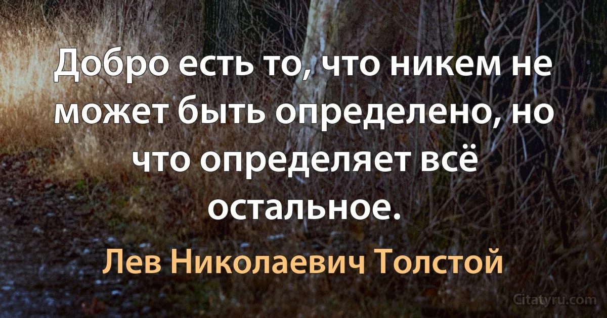 Добро есть то, что никем не может быть определено, но что определяет всё остальное. (Лев Николаевич Толстой)