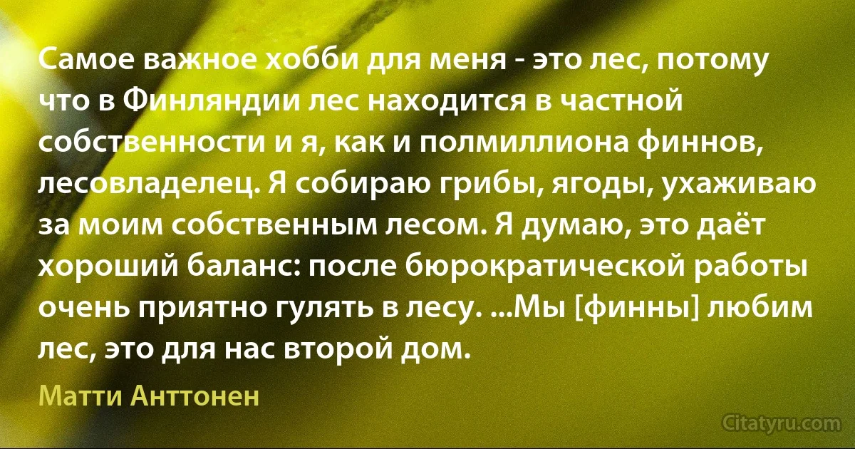 Самое важное хобби для меня - это лес, потому что в Финляндии лес находится в частной собственности и я, как и полмиллиона финнов, лесовладелец. Я собираю грибы, ягоды, ухаживаю за моим собственным лесом. Я думаю, это даёт хороший баланс: после бюрократической работы очень приятно гулять в лесу. ...Мы [финны] любим лес, это для нас второй дом. (Матти Анттонен)