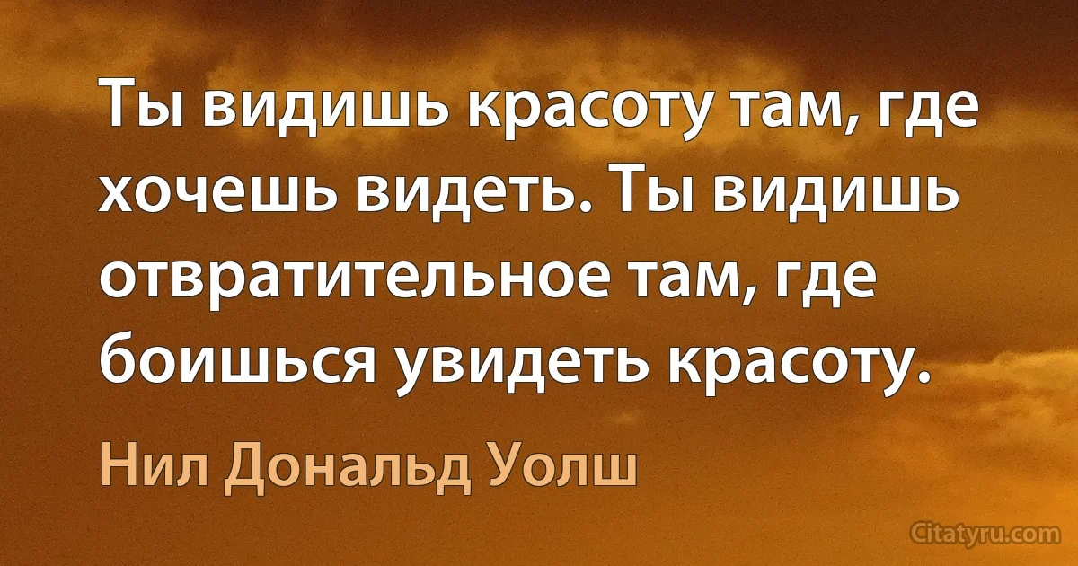 Ты видишь красоту там, где хочешь видеть. Ты видишь отвратительное там, где боишься увидеть красоту. (Нил Дональд Уолш)