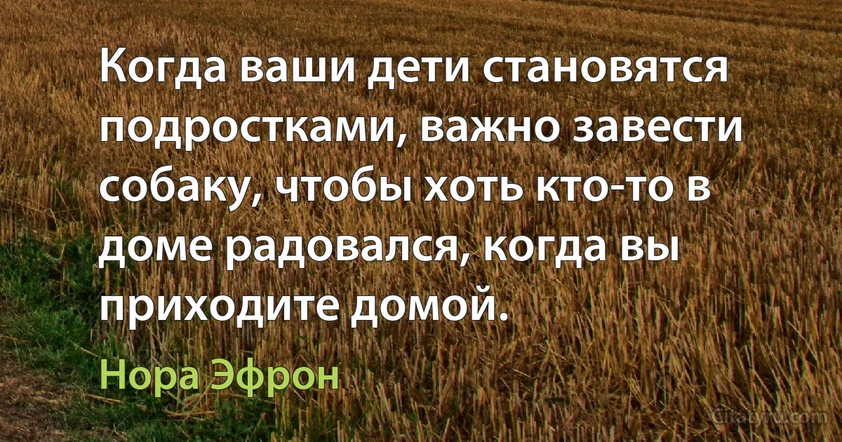 Когда ваши дети становятся подростками, важно завести собаку, чтобы хоть кто-то в доме радовался, когда вы приходите домой. (Нора Эфрон)