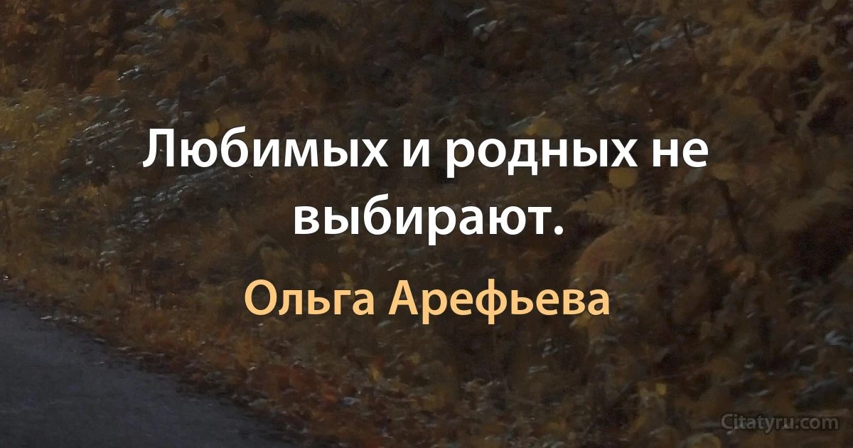 Любимых и родных не выбирают. (Ольга Арефьева)