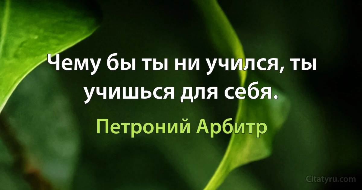 Чему бы ты ни учился, ты учишься для себя. (Петроний Арбитр)