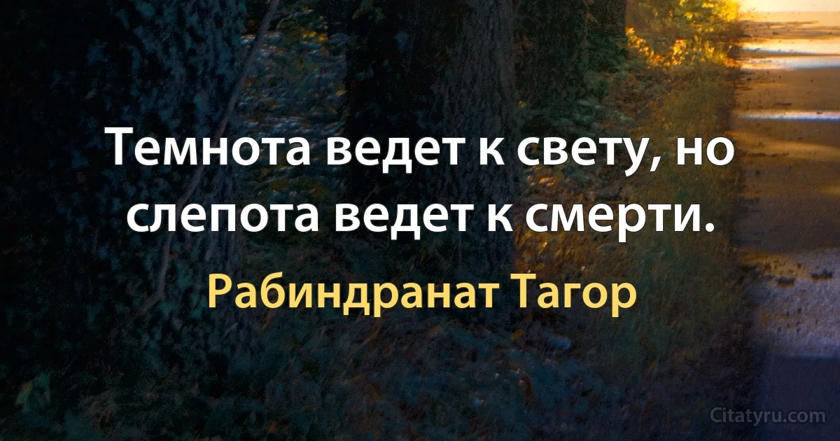 Темнота ведет к свету, но слепота ведет к смерти. (Рабиндранат Тагор)