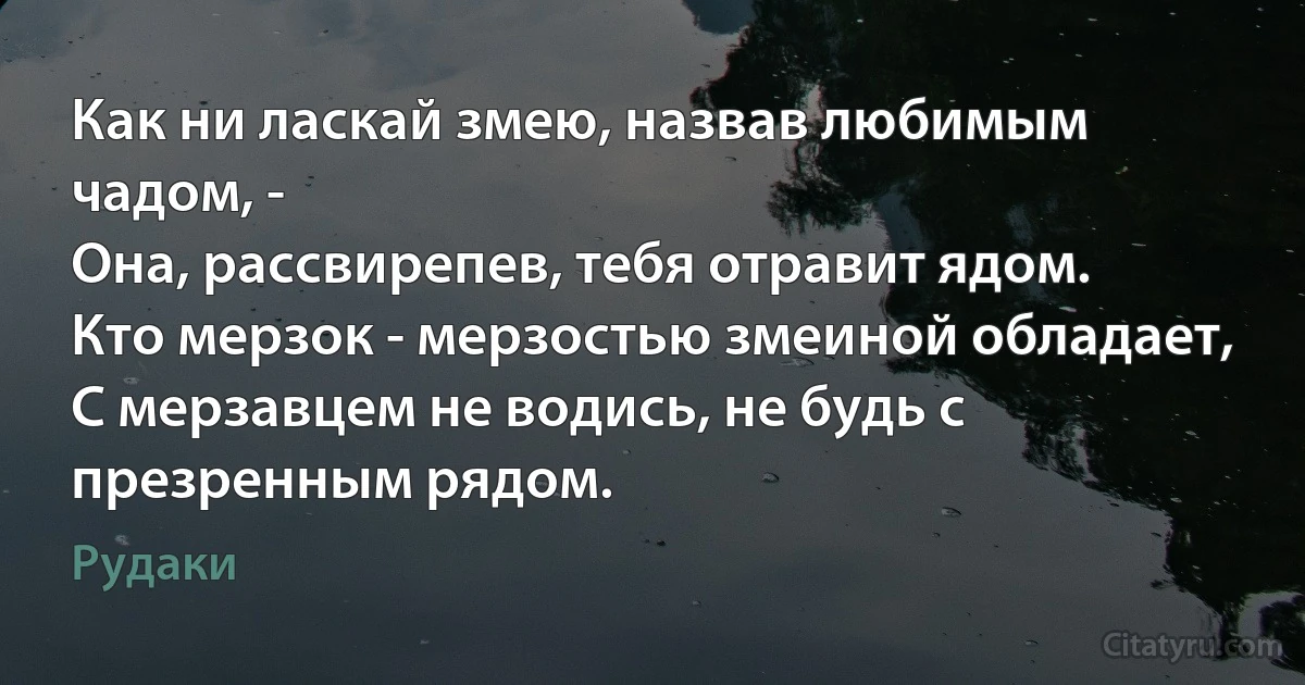 Как ни ласкай змею, назвав любимым чадом, -
Она, рассвирепев, тебя отравит ядом.
Кто мерзок - мерзостью змеиной обладает,
С мерзавцем не водись, не будь с презренным рядом. (Рудаки)