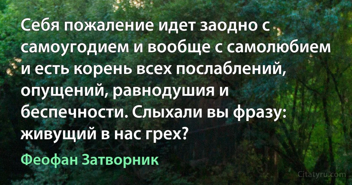 Себя пожаление идет заодно с самоугодием и вообще с самолюбием и есть корень всех послаблений, опущений, равнодушия и беспечности. Слыхали вы фразу: живущий в нас грех? (Феофан Затворник)