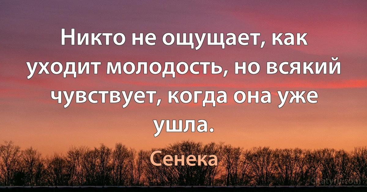 Никто не ощущает, как уходит молодость, но всякий чувствует, когда она уже ушла. (Сенека)