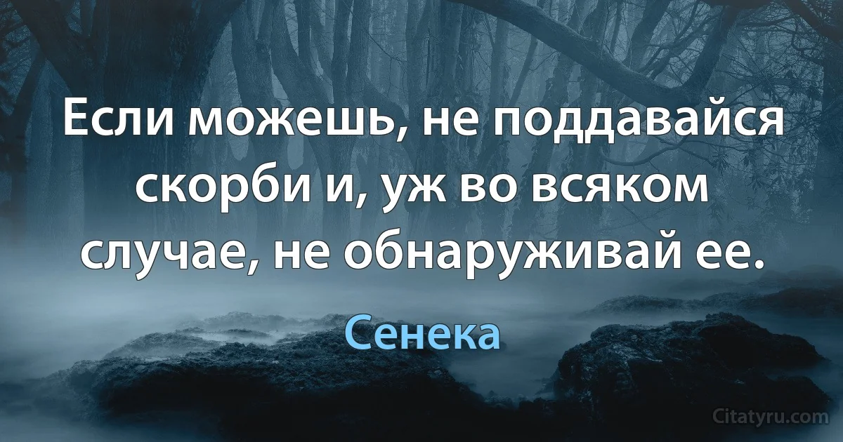 Если можешь, не поддавайся скорби и, уж во всяком случае, не обнаруживай ее. (Сенека)