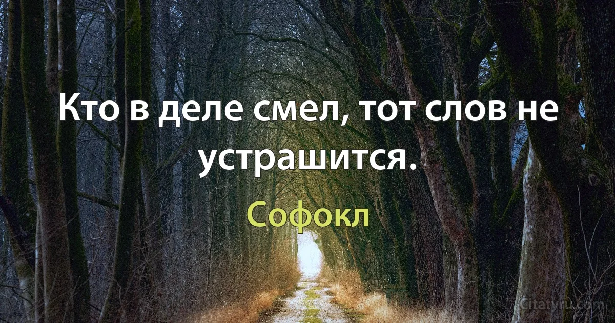 Кто в деле смел, тот слов не устрашится. (Софокл)