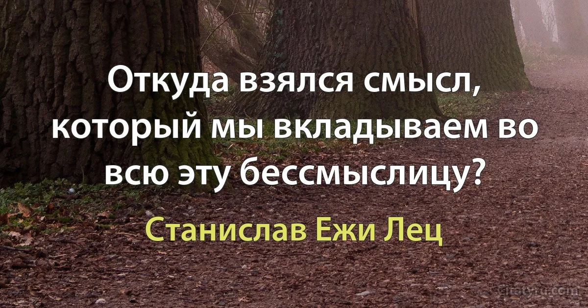 Откуда взялся смысл, который мы вкладываем во всю эту бессмыслицу? (Станислав Ежи Лец)