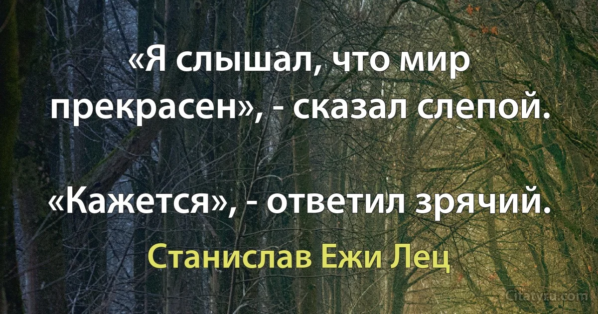 «Я слышал, что мир прекрасен», - сказал слепой.

«Кажется», - ответил зрячий. (Станислав Ежи Лец)