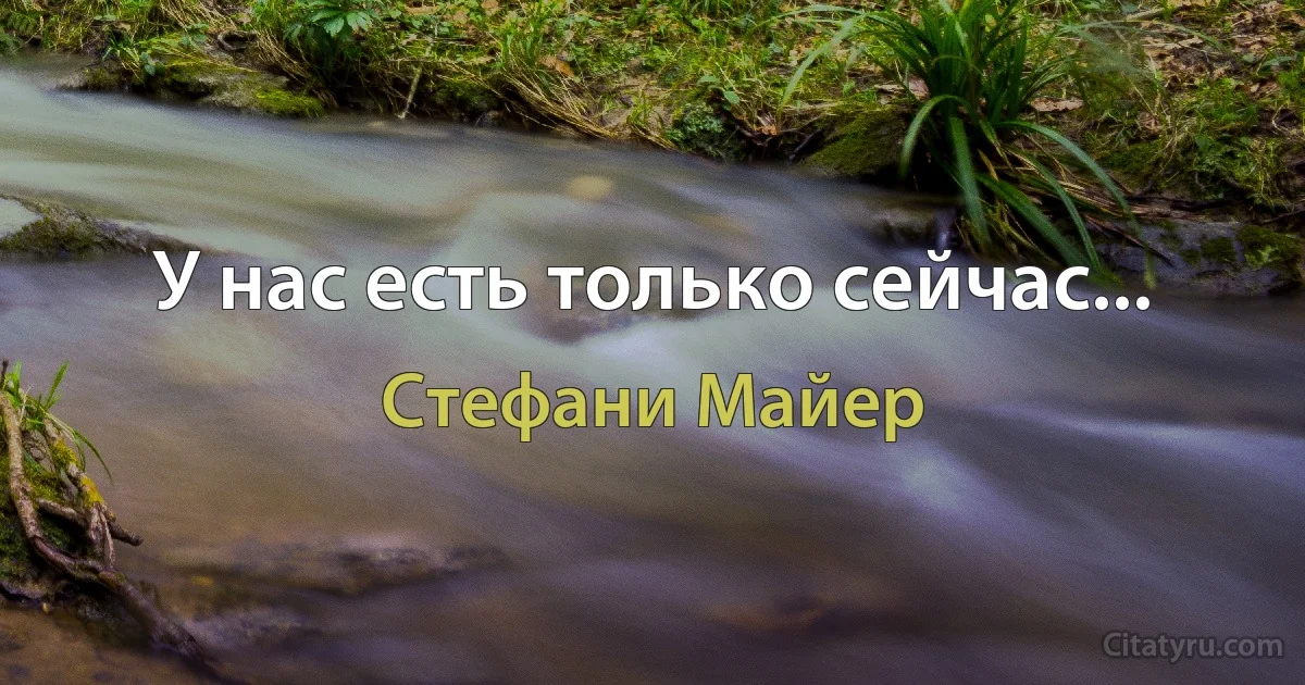 У нас есть только сейчас... (Стефани Майер)