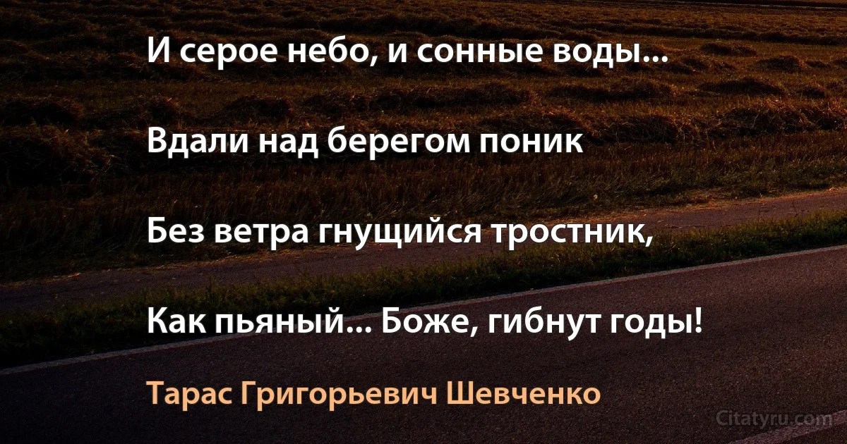 И серое небо, и сонные воды...

Вдали над берегом поник

Без ветра гнущийся тростник,

Как пьяный... Боже, гибнут годы! (Тарас Григорьевич Шевченко)