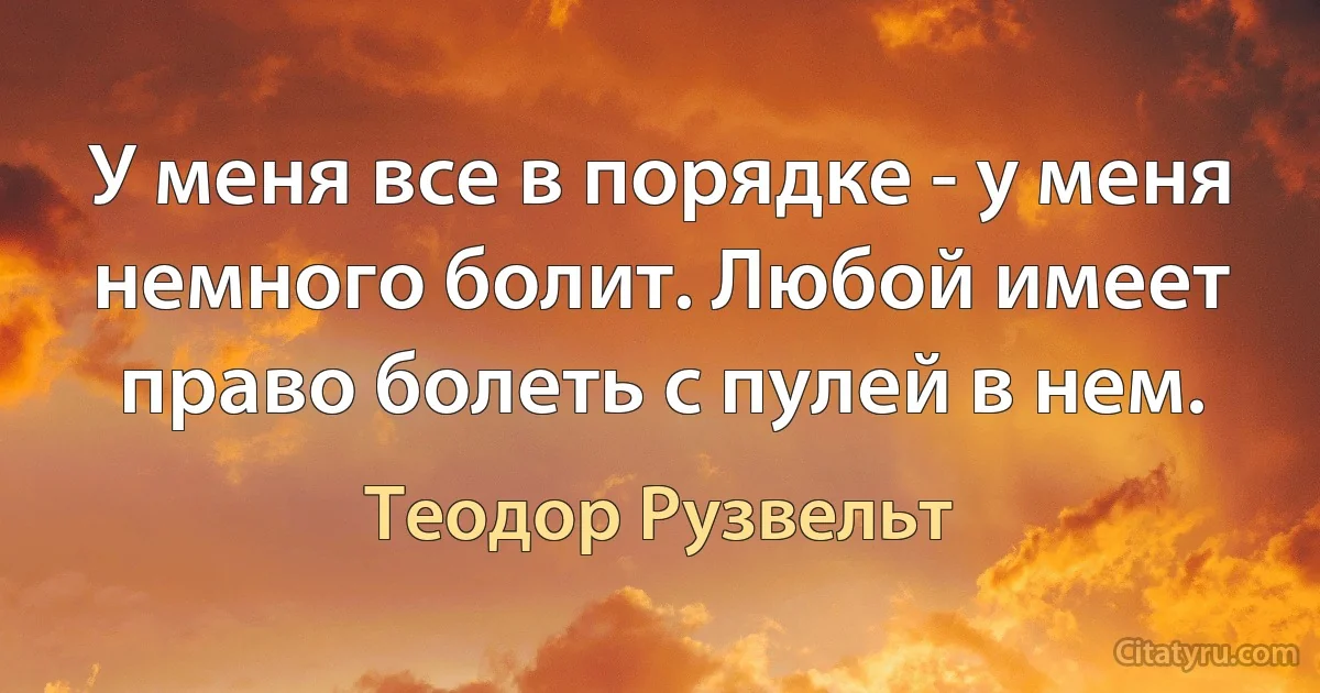 У меня все в порядке - у меня немного болит. Любой имеет право болеть с пулей в нем. (Теодор Рузвельт)