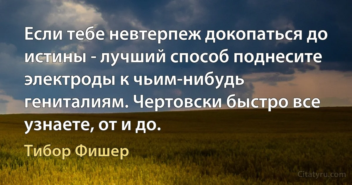 Если тебе невтерпеж докопаться до истины - лучший способ поднесите электроды к чьим-нибудь гениталиям. Чертовски быстро все узнаете, от и до. (Тибор Фишер)