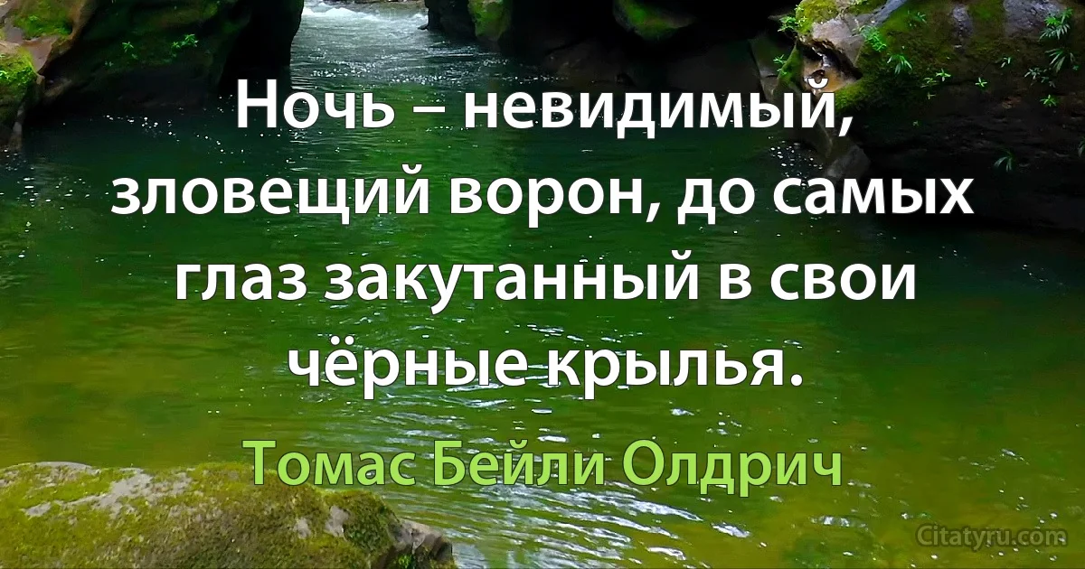 Ночь – невидимый, зловещий ворон, до самых глаз закутанный в свои чёрные крылья. (Томас Бейли Олдрич)