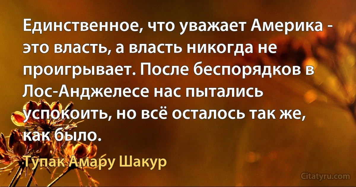 Единственное, что уважает Америка - это власть, а власть никогда не проигрывает. После беспорядков в Лос-Анджелесе нас пытались успокоить, но всё осталось так же, как было. (Тупак Амару Шакур)