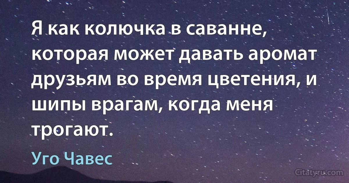 Я как колючка в саванне, которая может давать аромат друзьям во время цветения, и шипы врагам, когда меня трогают. (Уго Чавес)