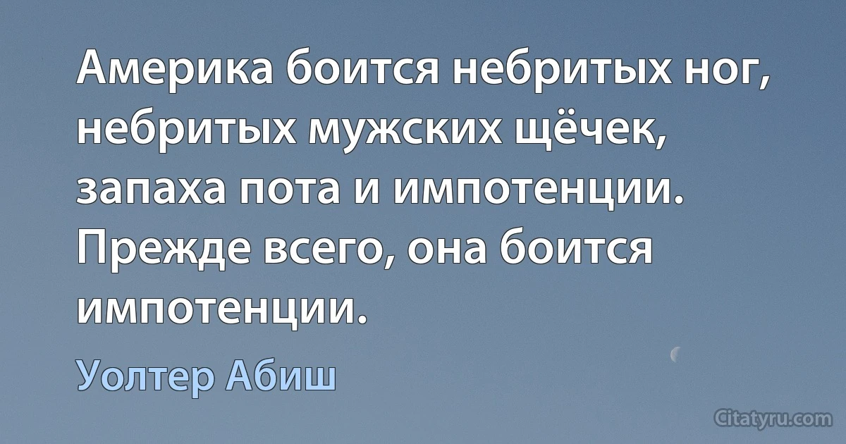 Америка боится небритых ног, небритых мужских щёчек, запаха пота и импотенции. Прежде всего, она боится импотенции. (Уолтер Абиш)