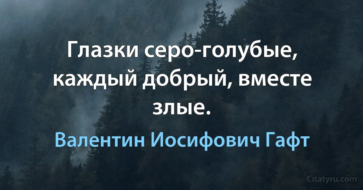 Глазки серо-голубые, каждый добрый, вместе злые. (Валентин Иосифович Гафт)