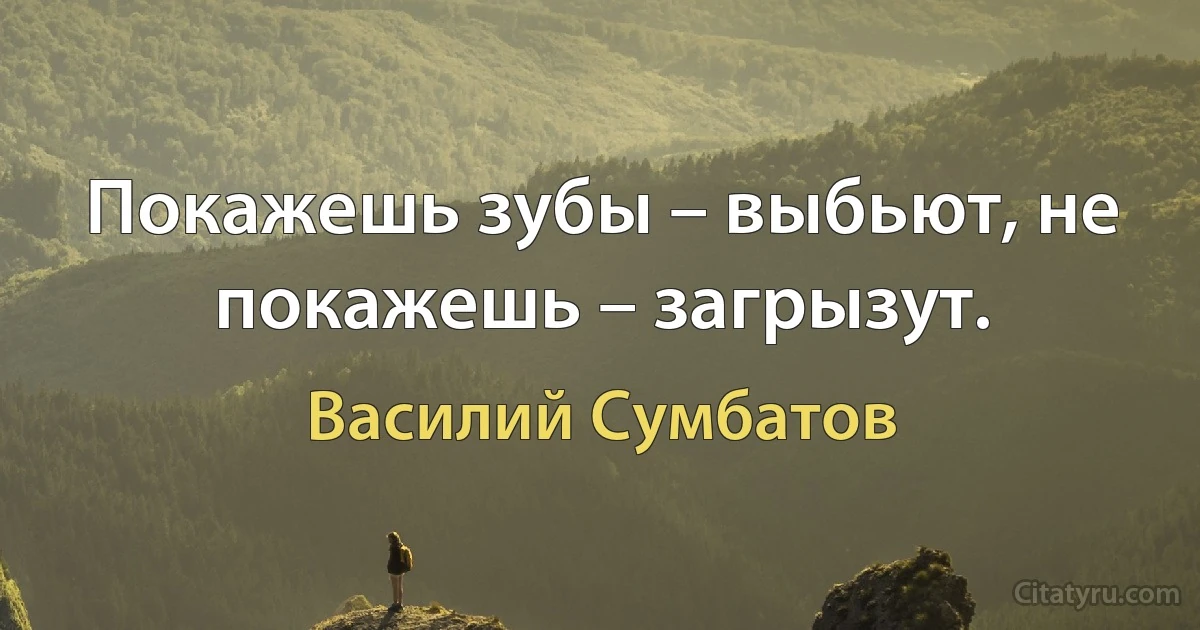 Покажешь зубы – выбьют, не покажешь – загрызут. (Василий Сумбатов)