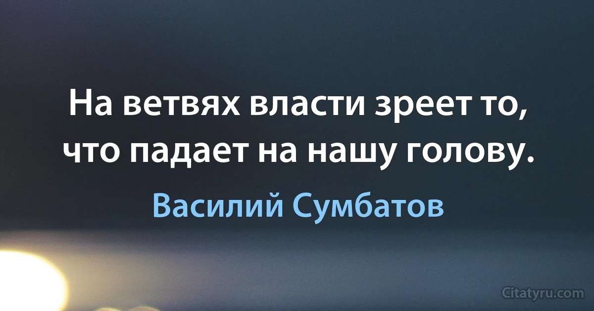 На ветвях власти зреет то, что падает на нашу голову. (Василий Сумбатов)