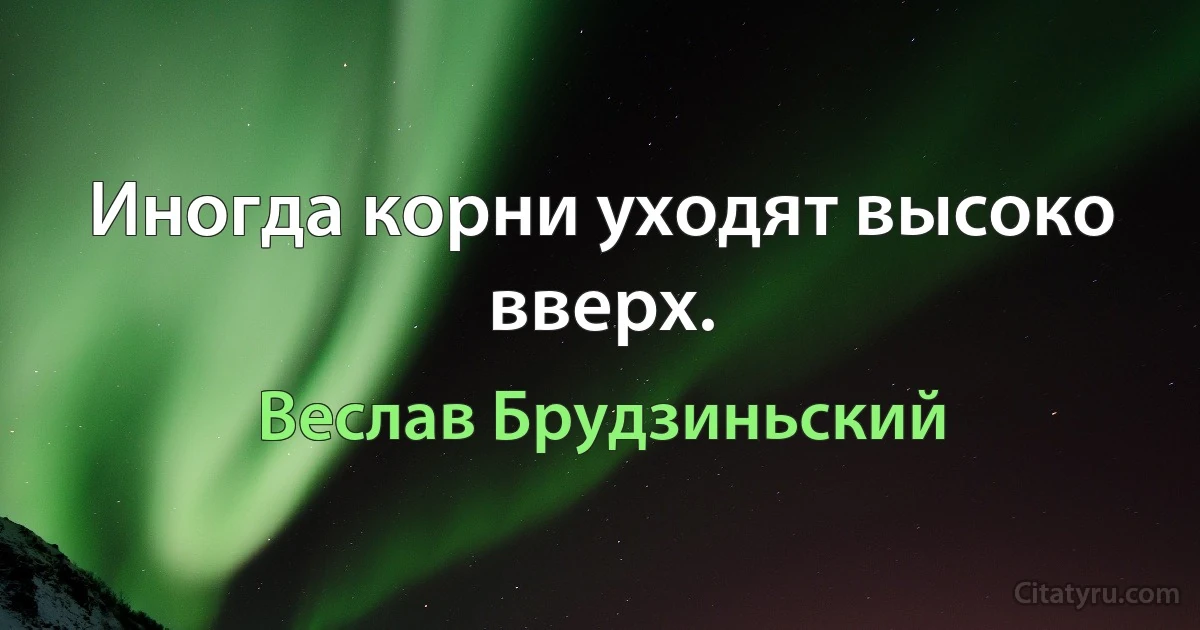 Иногда корни уходят высоко вверх. (Веслав Брудзиньский)