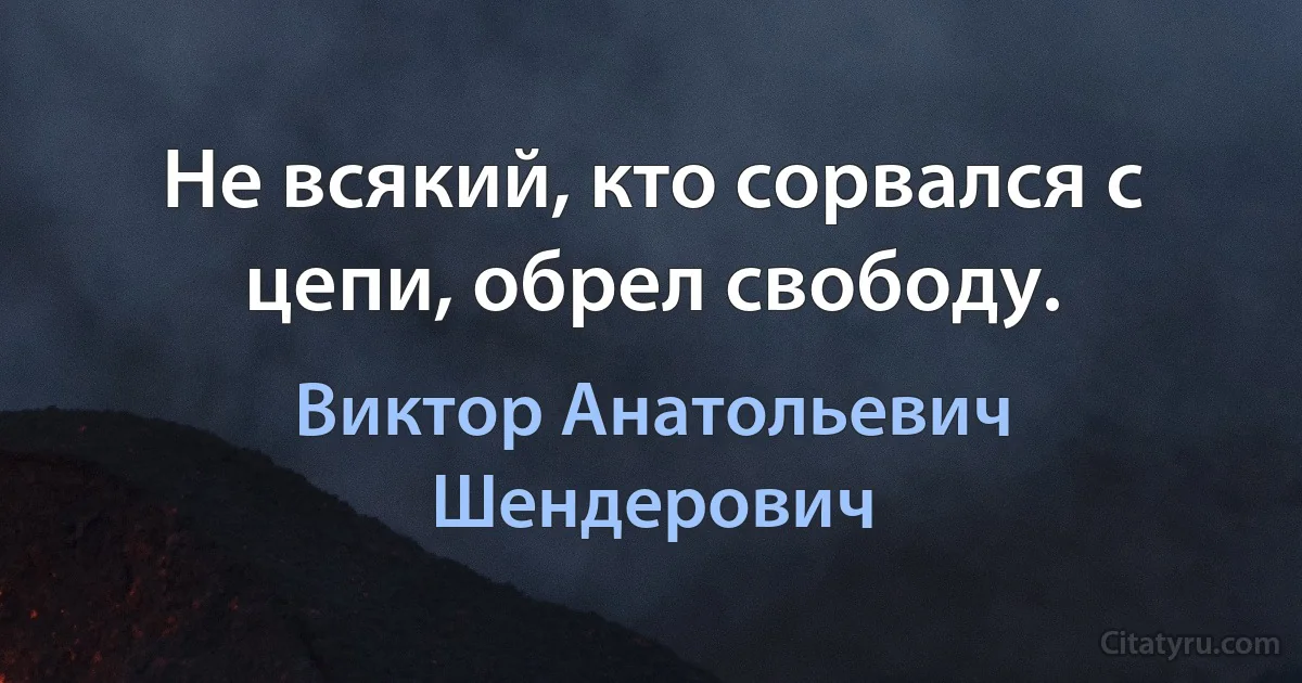 Не всякий, кто сорвался с цепи, обрел свободу. (Виктор Анатольевич Шендерович)