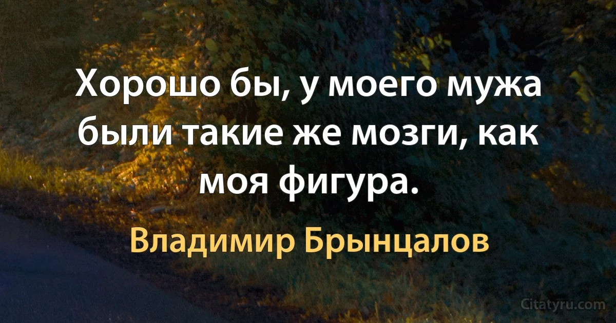 Хорошо бы, у моего мужа были такие же мозги, как моя фигура. (Владимир Брынцалов)