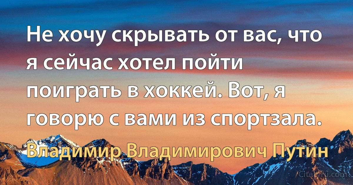 Не хочу скрывать от вас, что я сейчас хотел пойти поиграть в хоккей. Вот, я говорю с вами из спортзала. (Владимир Владимирович Путин)