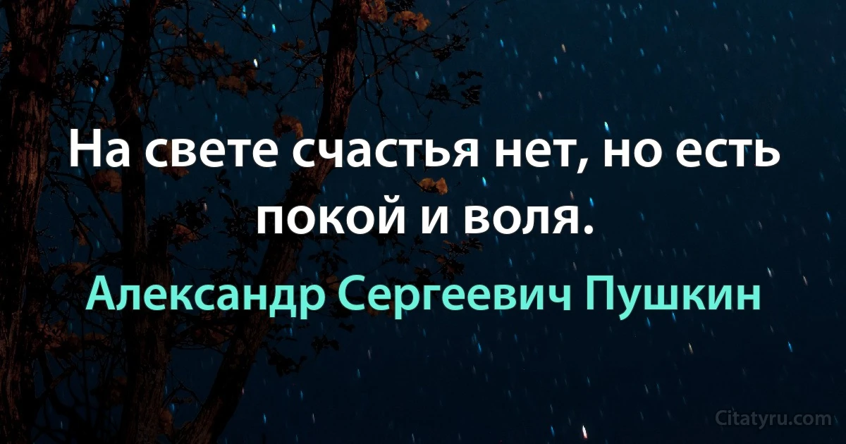 На свете счастья нет, но есть покой и воля. (Александр Сергеевич Пушкин)