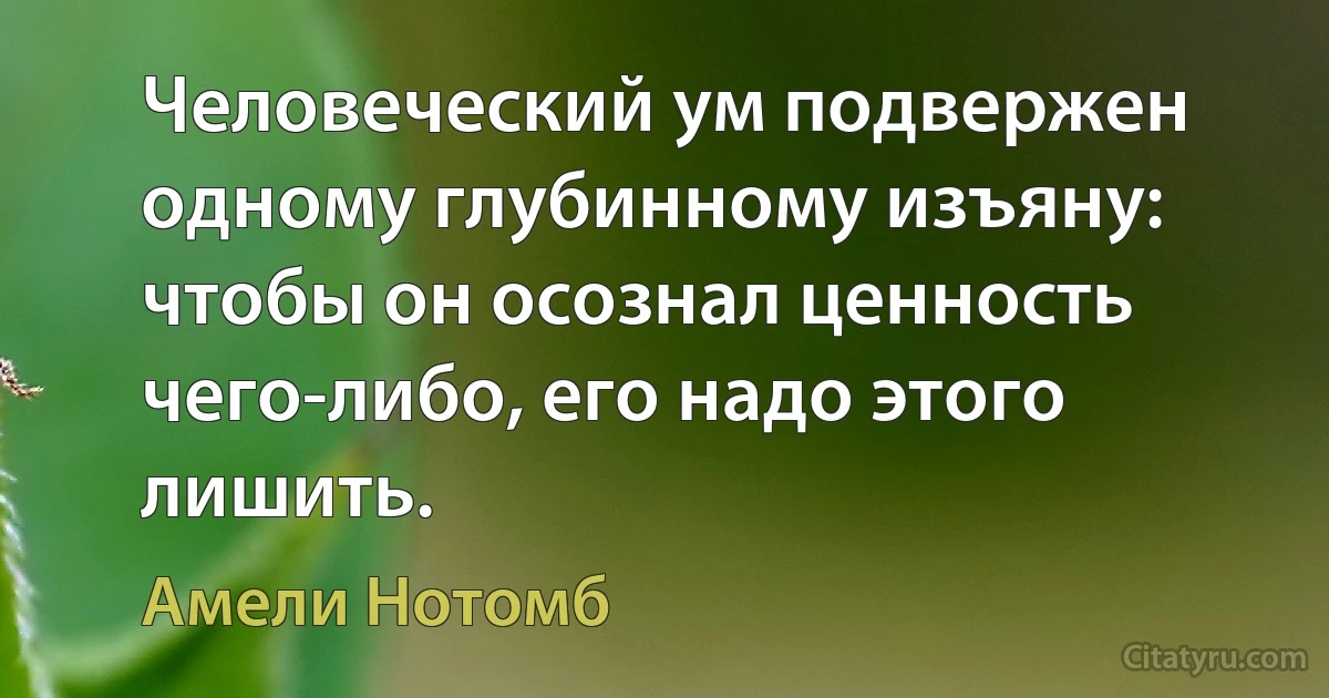 Человеческий ум подвержен одному глубинному изъяну: чтобы он осознал ценность чего-либо, его надо этого лишить. (Амели Нотомб)