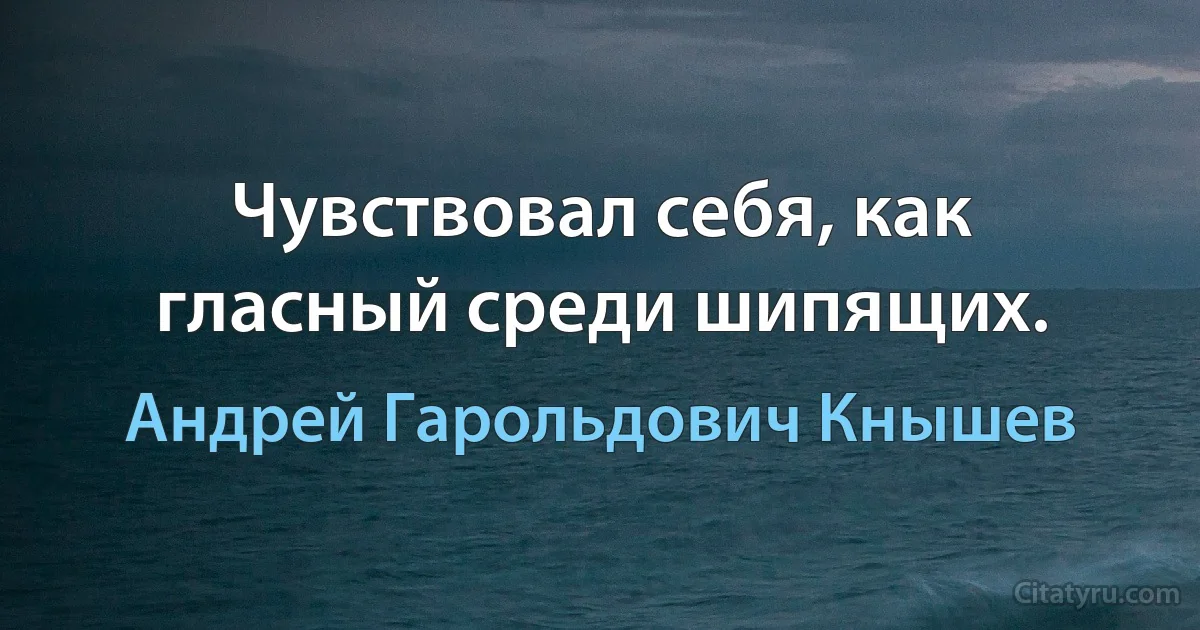 Чувствовал себя, как гласный среди шипящих. (Андрей Гарольдович Кнышев)