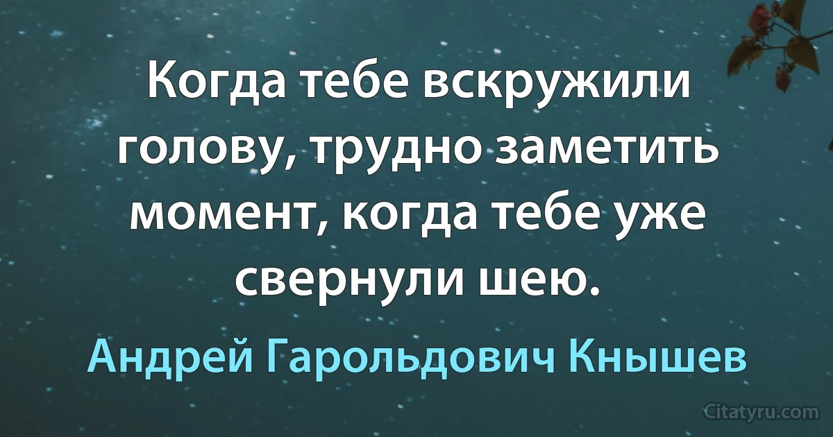 Когда тебе вскружили голову, трудно заметить момент, когда тебе уже свернули шею. (Андрей Гарольдович Кнышев)